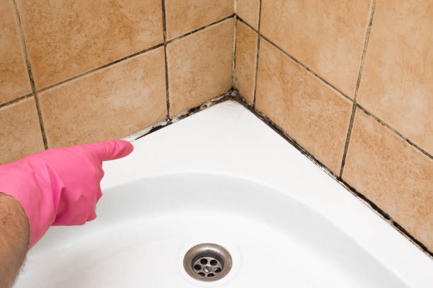  , USA Mold Removal Pros